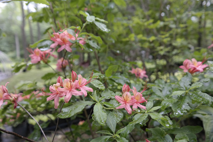 It's a time to slow down and to grow...