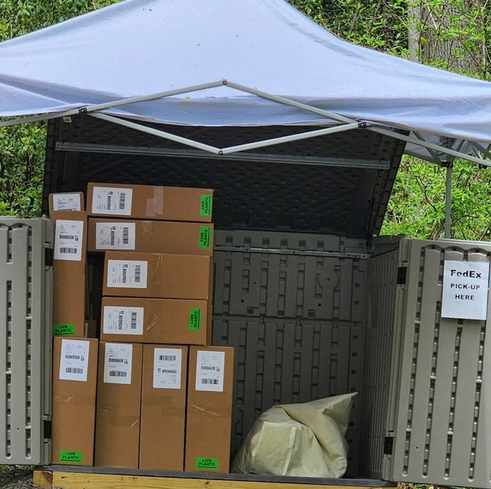 Shipping Costs! The Bane of a Tiny Nursery.